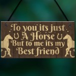 Gift For Horse Lovers Best Friend Horse Gift For Girls Women