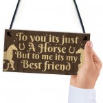 Gift For Horse Lovers Best Friend Horse Gift For Girls Women