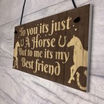 Gift For Horse Lovers Best Friend Horse Gift For Girls Women