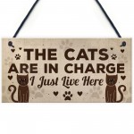 Funny Cat Gifts For Cat Lovers Gift For Women Home Decor Gifts