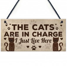 Funny Cat Gifts For Cat Lovers Gift For Women Home Decor Gifts