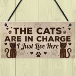 Funny Cat Gifts For Cat Lovers Gift For Women Home Decor Gifts