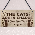 Funny Cat Gifts For Cat Lovers Gift For Women Home Decor Gifts