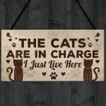 Funny Cat Gifts For Cat Lovers Gift For Women Home Decor Gifts