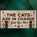 Funny Cat Gifts For Cat Lovers Gift For Women Home Decor Gifts