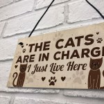 Funny Cat Gifts For Cat Lovers Gift For Women Home Decor Gifts