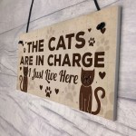 Funny Cat Gifts For Cat Lovers Gift For Women Home Decor Gifts