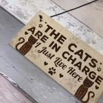 Funny Cat Gifts For Cat Lovers Gift For Women Home Decor Gifts