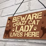 Novelty Beware Crazy Cat Lady Home Sign Funny Cat Birthday Gifts