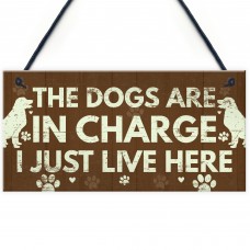 Funny Dog Gift For Dog Lovers Dog Sign For Home Novelty Birthday
