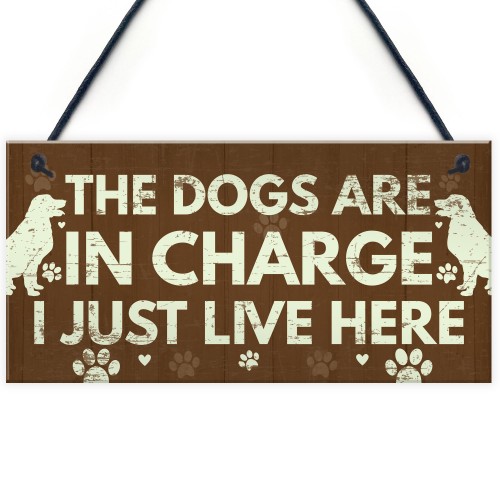 Funny Dog Gift For Dog Lovers Dog Sign For Home Novelty Birthday