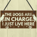 Funny Dog Gift For Dog Lovers Dog Sign For Home Novelty Birthday