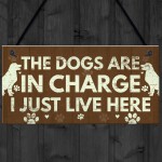 Funny Dog Gift For Dog Lovers Dog Sign For Home Novelty Birthday