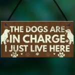 Funny Dog Gift For Dog Lovers Dog Sign For Home Novelty Birthday