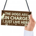 Funny Dog Gift For Dog Lovers Dog Sign For Home Novelty Birthday