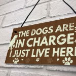 Funny Dog Gift For Dog Lovers Dog Sign For Home Novelty Birthday