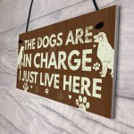 Funny Dog Gift For Dog Lovers Dog Sign For Home Novelty Birthday