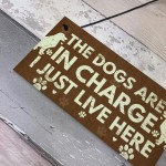 Funny Dog Gift For Dog Lovers Dog Sign For Home Novelty Birthday