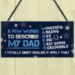 FUNNY Dad Gifts Daddy Gift From Daughter Funny Fathers Day Gift 