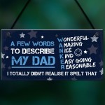 FUNNY Dad Gifts Daddy Gift From Daughter Funny Fathers Day Gift 
