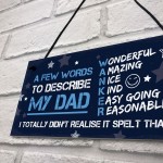 FUNNY Dad Gifts Daddy Gift From Daughter Funny Fathers Day Gift 