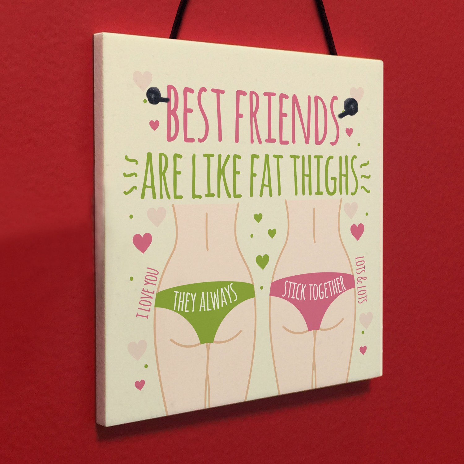 FUNNY BEST FRIEND CARD Friendship Plaque Funny Birthday Gifts