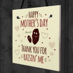 Funny Mothers Day Greetings Card Plaque Joke Gift For Mum