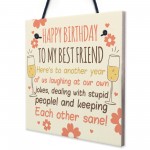 Funny Best Friend Birthday Card Friendship Gifts Sign