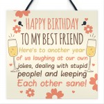 Funny Best Friend Birthday Card Friendship Gifts Sign