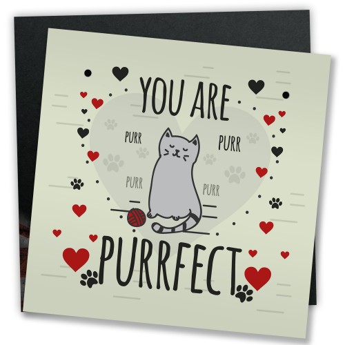 Funny Cats Sign Home Decor Crazy Cat Lady Sign Pet Lover Gifts