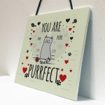 Funny Cats Sign Home Decor Crazy Cat Lady Sign Pet Lover Gifts