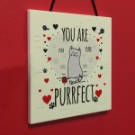 Funny Cats Sign Home Decor Crazy Cat Lady Sign Pet Lover Gifts