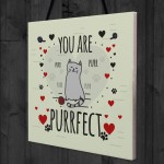 Funny Cats Sign Home Decor Crazy Cat Lady Sign Pet Lover Gifts