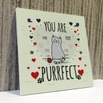 Funny Cats Sign Home Decor Crazy Cat Lady Sign Pet Lover Gifts