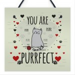 Funny Cats Sign Home Decor Crazy Cat Lady Sign Pet Lover Gifts