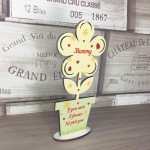 Cute Mothers Day Gift Mummy Plaque Wooden Flower Gift For Mummy