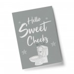 Funny Bathroom Print Hello Sweet Cheeks Toilet Loo Sign Wall Art