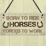 Signs About Horses Funny Horse Sign Horse Gift Pet Sign