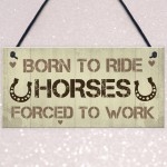 Signs About Horses Funny Horse Sign Horse Gift Pet Sign