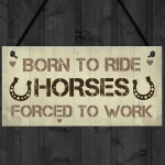 Signs About Horses Funny Horse Sign Horse Gift Pet Sign