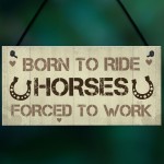 Signs About Horses Funny Horse Sign Horse Gift Pet Sign