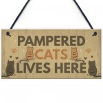 Funny Cat Sign For Home Sign For Gate Pet Sign Funny Cat Gift