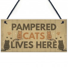 Funny Cat Sign For Home Sign For Gate Pet Sign Funny Cat Gift