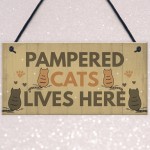 Funny Cat Sign For Home Sign For Gate Pet Sign Funny Cat Gift