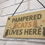 Funny Cat Sign For Home Sign For Gate Pet Sign Funny Cat Gift