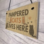 Funny Cat Sign For Home Sign For Gate Pet Sign Funny Cat Gift