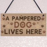 Funny Dog Sign For Home Sign For Gate Pet Sign Funny Dog Gift