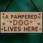 Funny Dog Sign For Home Sign For Gate Pet Sign Funny Dog Gift