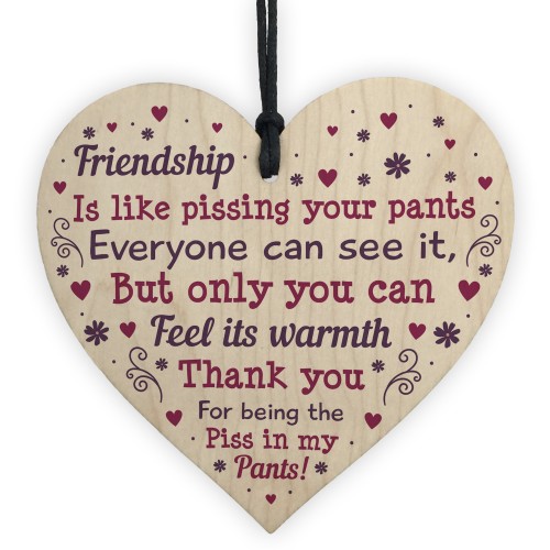 Funny Best Friend Sign Wood Heart Friendship Gift Thank You