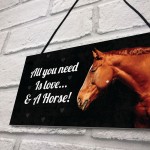 Horse Gift For Women Love & A Horse Plaque Gift For Horse Lover